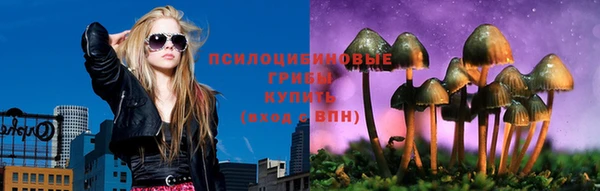 герыч Алексин