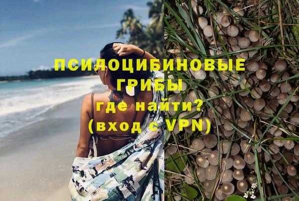 дживик Алексеевка