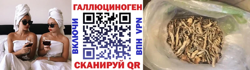 Галлюциногенные грибы Psilocybine cubensis  что такое наркотик  Ноябрьск 